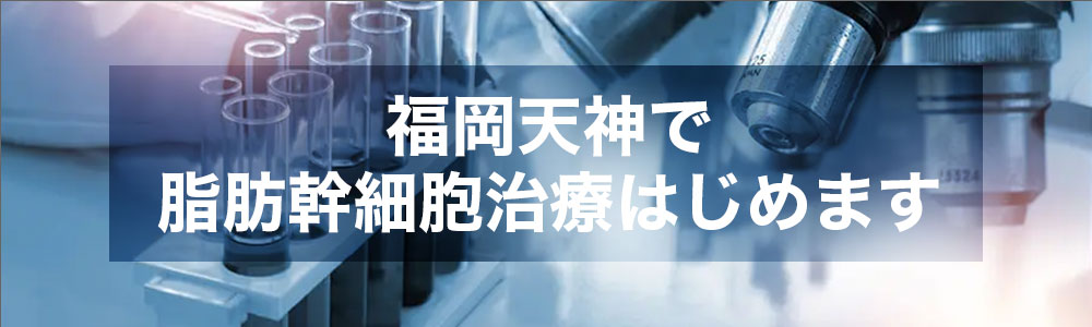 脂肪幹細胞について